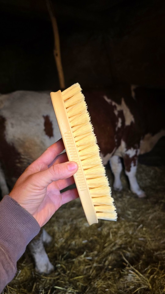 Recenzie produs - Perie de curătare - agroelectro.ro