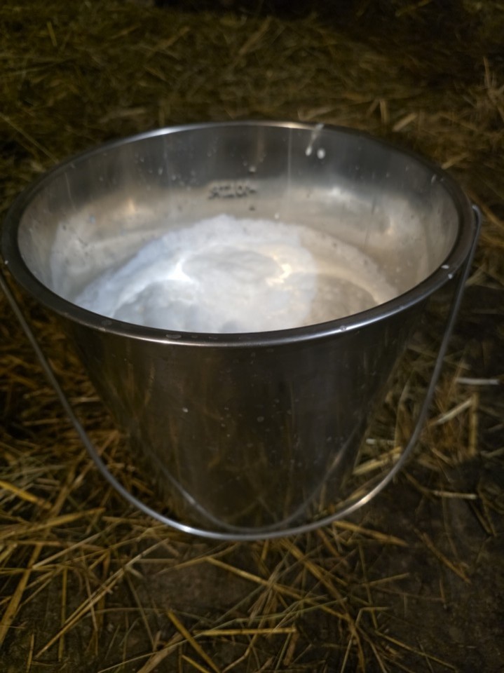 Recenzie produs - Găleată din inox, 12,3 litri - agroelectro.ro