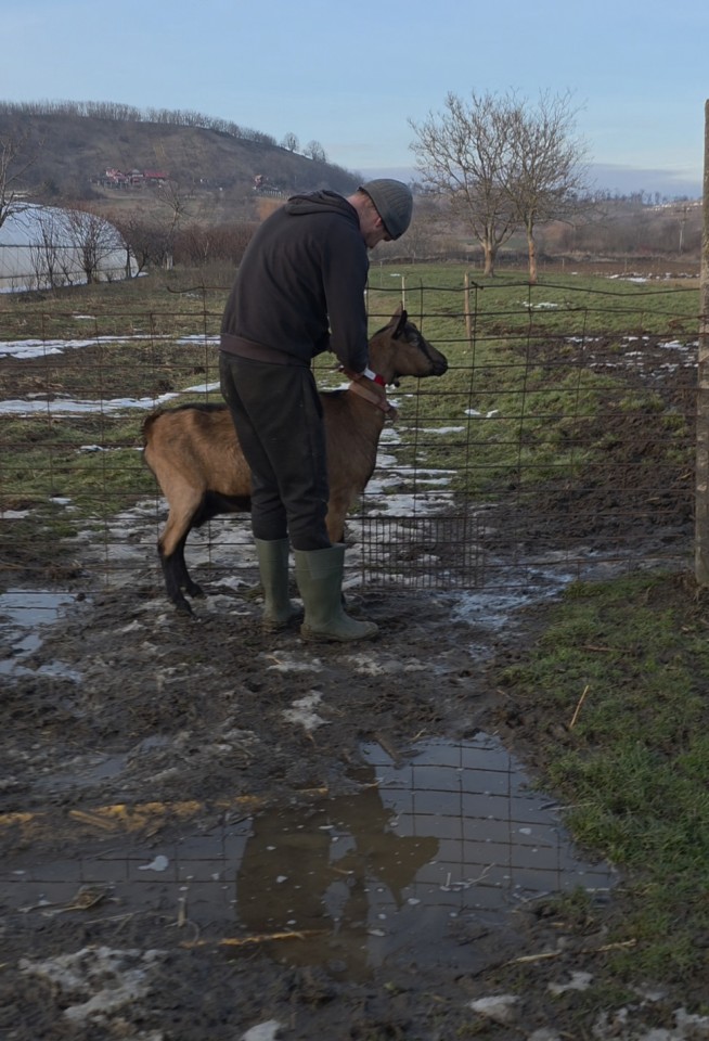 Recenzie produs - Cizmă de cauciuc Nora IDRO High, verde, 42 - agroelectro.ro