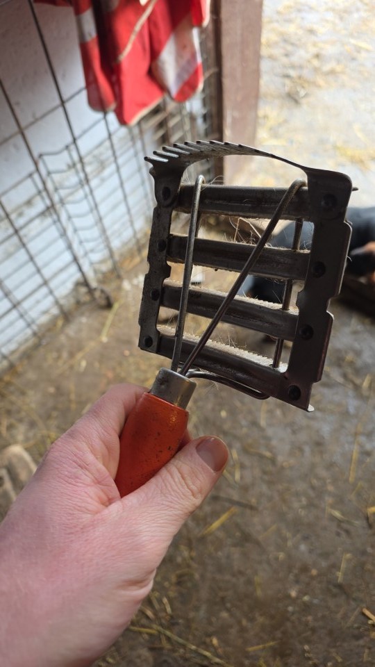 Recenzie produs - Țesală metalică cu pieptăn de coamă, 12 × 12,5 cm - agroelectro.ro