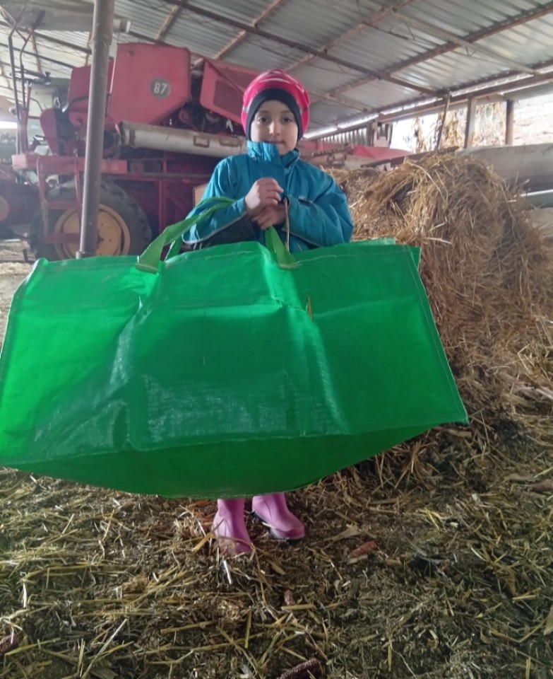 Recenzie produs - Sac de grădină, BarrowBag, 270 litri - agroelectro.ro