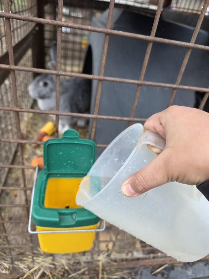 Recenzie produs - Adăpătoare pentru iepuri, 0,5 litri - agroelectro.ro