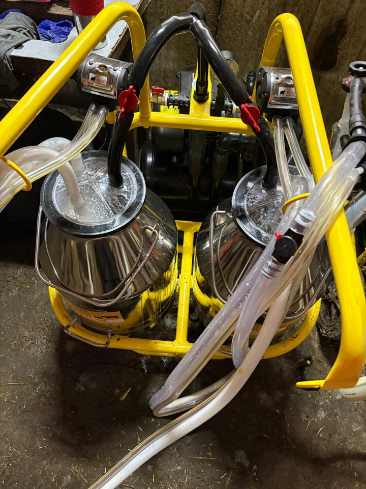 Recenzie produs - Aparat de muls oi, 4 posturi, 2 bidoane aluminiu 30 litri - agroelectro.ro