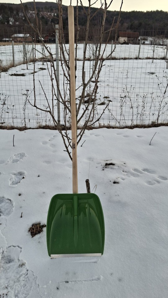 Recenzie produs - Lopată pentru cereale și zăpadă, fără coadă, 42 × 40 cm - agroelectro.ro