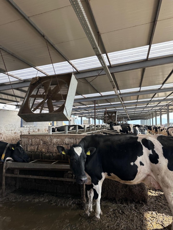 Recenzie produs - Ventilator industrial pentru adăposturi de vite, 140 × 140 cm, 1,1 kW, 400 V - agroelectro.ro