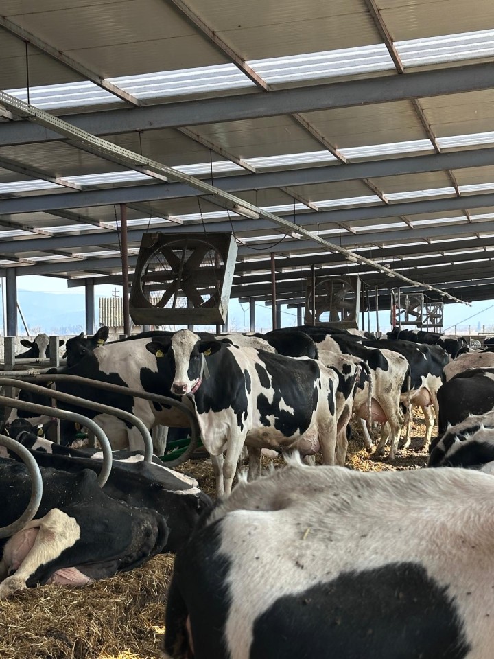 Recenzie produs - Ventilator industrial pentru adăposturi de vite, 140 × 140 cm, 1,1 kW, 400 V - agroelectro.ro