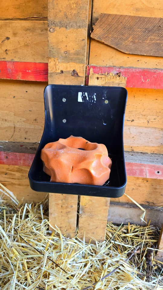 Recenzie produs - Suport de sare pentru animale - agroelectro.ro