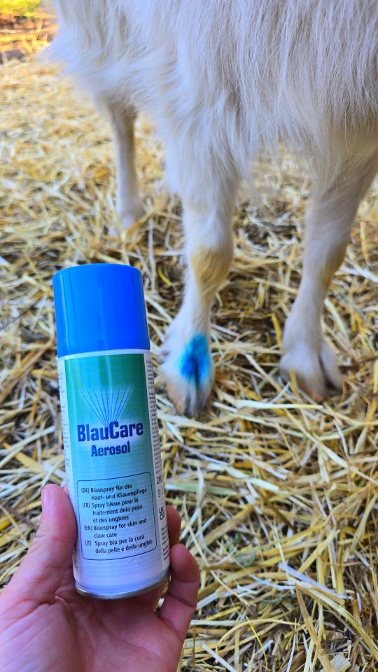 Recenzie produs - Spray albastru pentru dezinfectare, 200 ml - agroelectro.ro