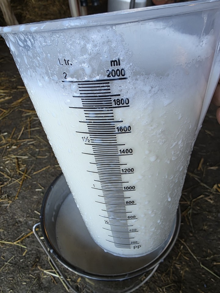 Recenzie produs - Cană gradată, plastic, 2 litri - agroelectro.ro