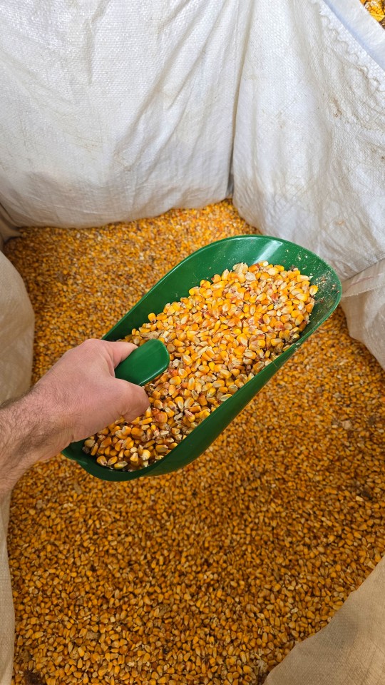 Recenzie produs - Scafă pentru hrană, 2,1 litri - agroelectro.ro