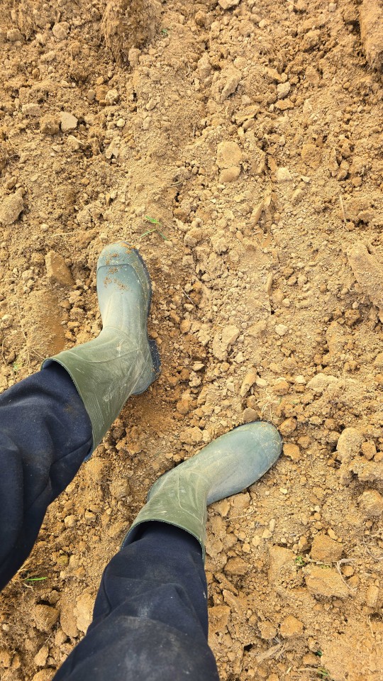 Recenzie produs - Cizmă de cauciuc Nora IDRO Low, verde, 42 - agroelectro.ro