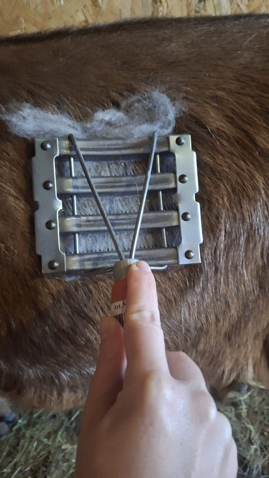 Recenzie produs - Țesală metalică pentru vaci și cai, 11 × 12,5 cm - agroelectro.ro