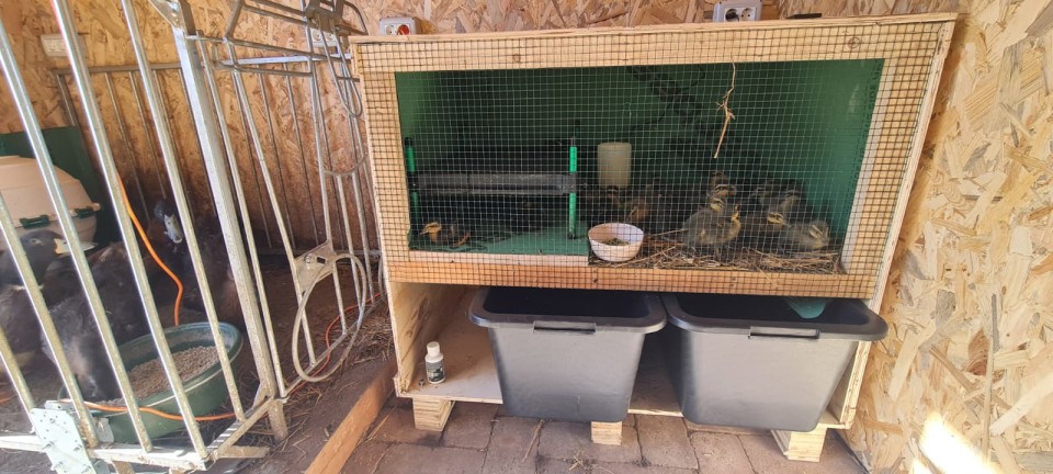 Recenzie produs - Placă de încălzire pentru pui, CosyHeat, 40 × 50 cm - agroelectro.ro