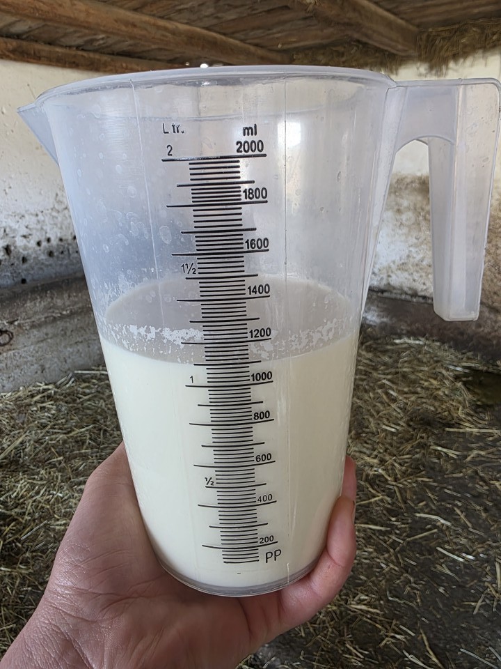Recenzie produs - Cană gradată, plastic, 2 litri - agroelectro.ro