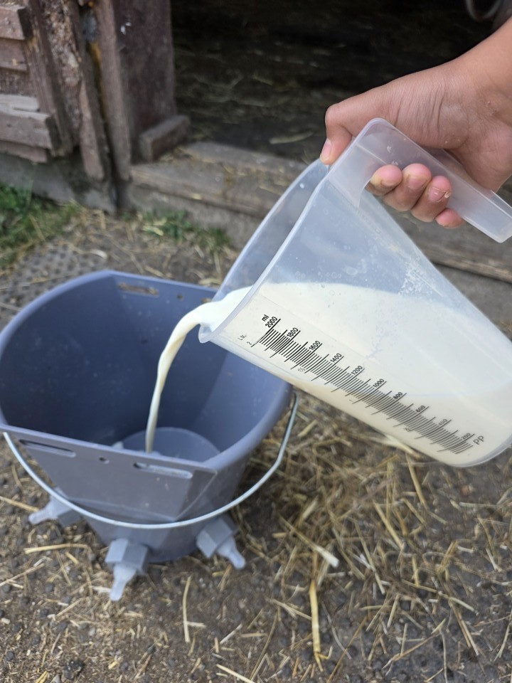 Recenzie produs - Cană gradată, plastic, 2 litri - agroelectro.ro