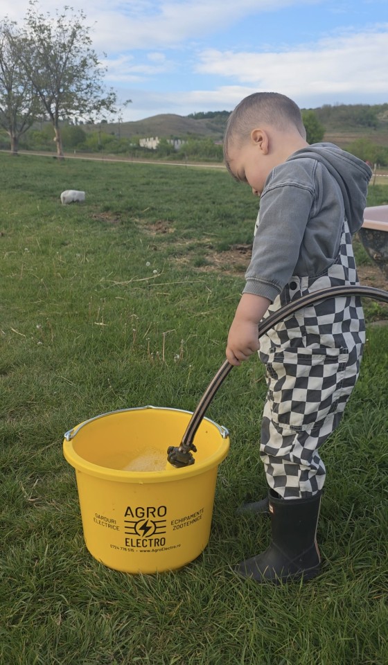 Recenzie produs - Găleată de grajd și furajare, verde, 12 litri - agroelectro.ro