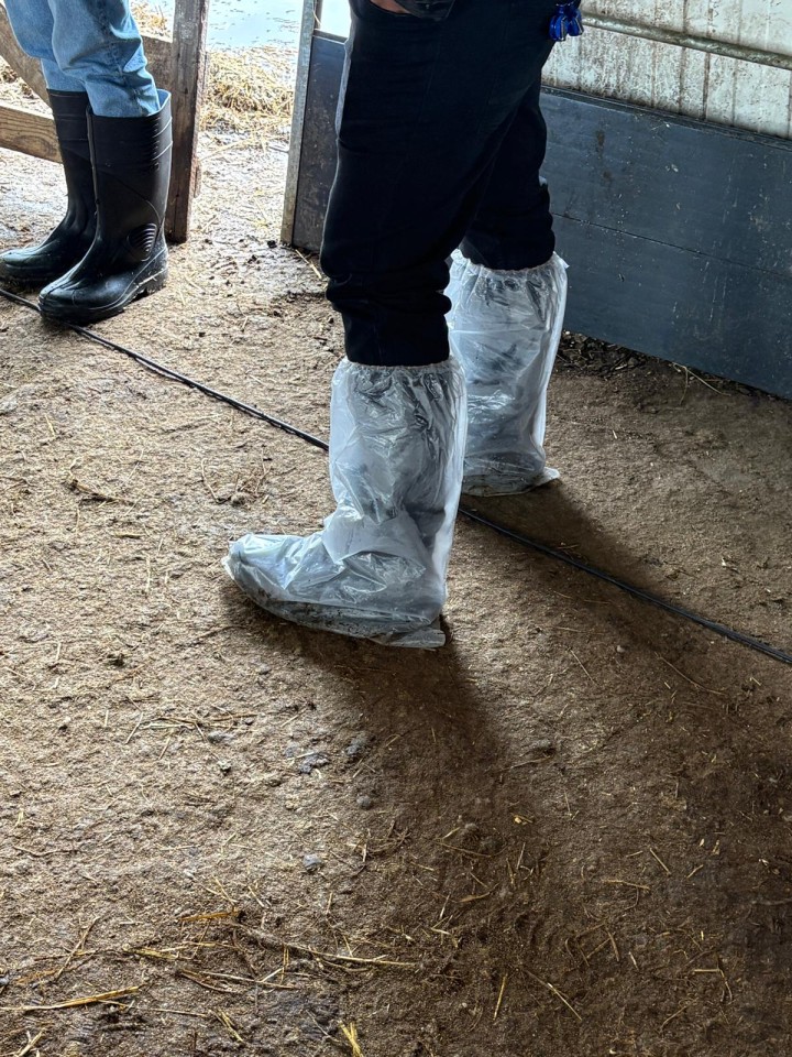 Recenzie produs - Protector lung pentru încălțăminte, de unică folosință, 40 × 50 cm, 100 buc. - agroelectro.ro