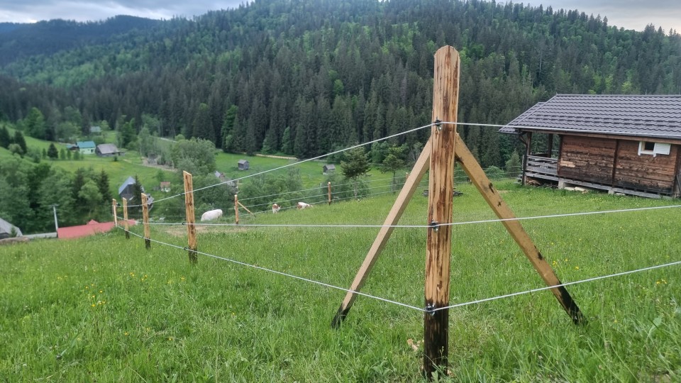 Recenzie produs - Aparat gard electric DL 4500, 4,5 Joule, cu adaptor de rețea 230/12 V - agroelectro.ro
