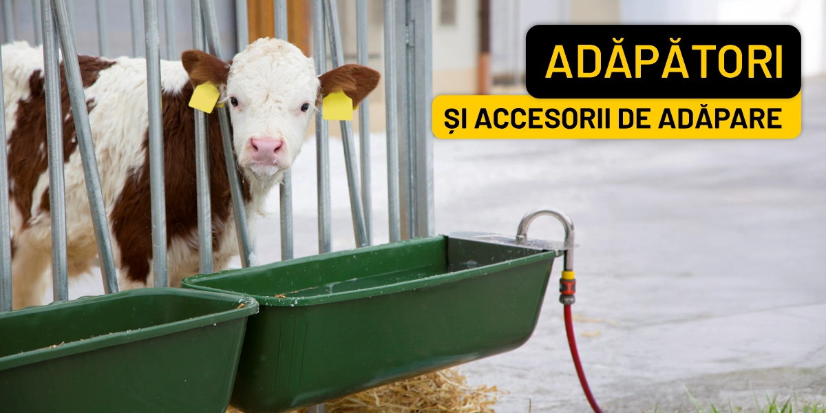 Adăpători și accesorii de adăpare