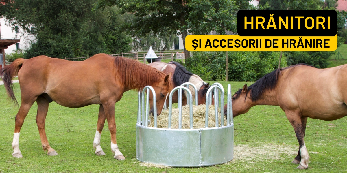 Hrănitori și accesorii de hrănire