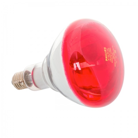 Bec de încălzire cu infraroșu, 150 W, Philips<br/>41 Lei<br><small>0337</small>