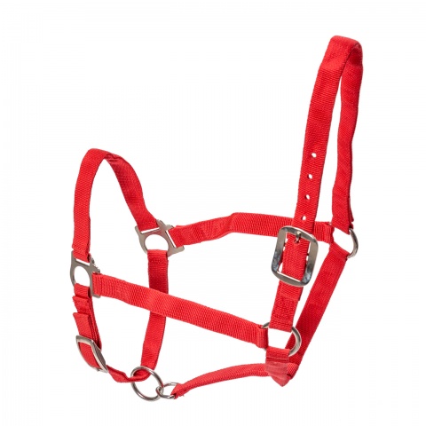 Căpăstru pentru cai, vaci și tauri, roșu