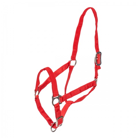 Căpăstru pentru cai, vaci și tauri, roșu<br/>70.20 Lei<br><small>0675</small>