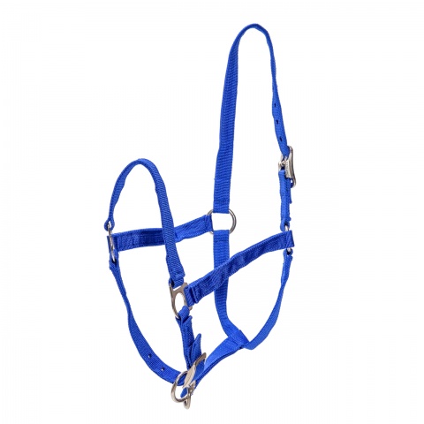 Căpăstru pentru cai, vaci și tauri, albastru<br/>70.20 Lei<br><small>0676</small>