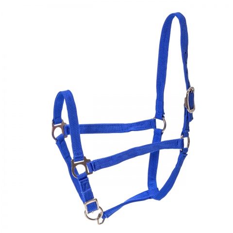 Căpăstru pentru cai, vaci și tauri, albastru