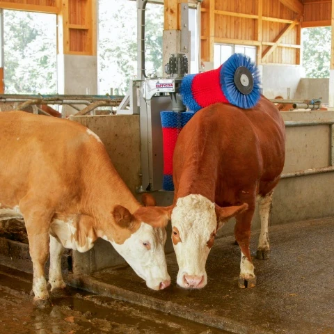 Perie de curățat vaci HappyCow DUO