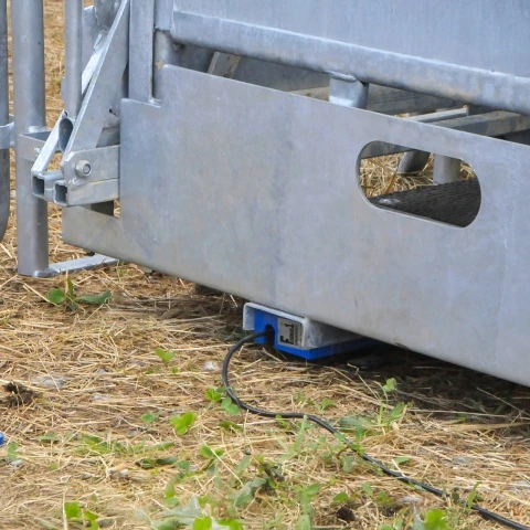 Cântar pentru animale, AniScale, până la 1500 kg