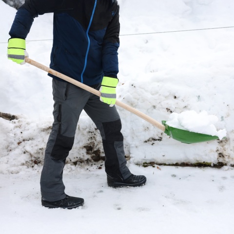 Lopată pentru cereale și zăpadă, fără coadă, 40 × 42 cm