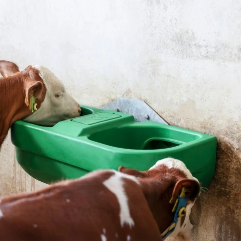 Adăpătoare dublă din plastic, cu nivel constant, 58 litri