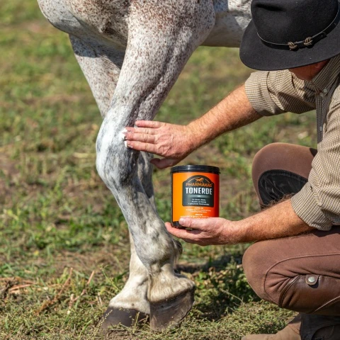 Clay gel (argilă) pentru cai, Pharmakas Tonerde, 2 kg
