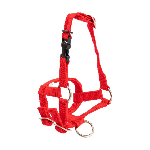 Căpăstru pentru alpaca, roșu