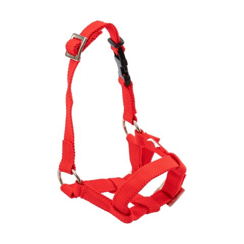 Căpăstru pentru alpaca, roșu