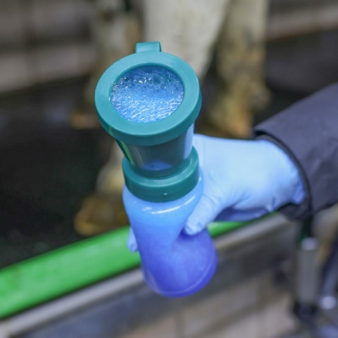 Pahar pentru dezinfecția mameloanelor, FoamExpert (cu spumă), 300 ml
