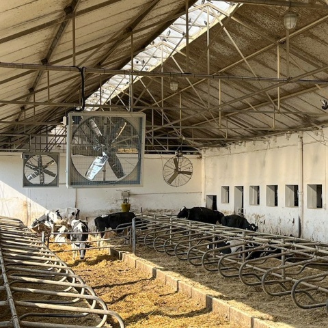 Ventilator industrial pentru adăposturi de vite, 140 × 140 cm, 1,1 kW, 400 V
