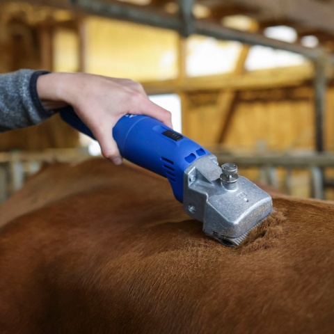 Mașină de tuns bovine și cabaline, Aesculap Econom II, 230 V