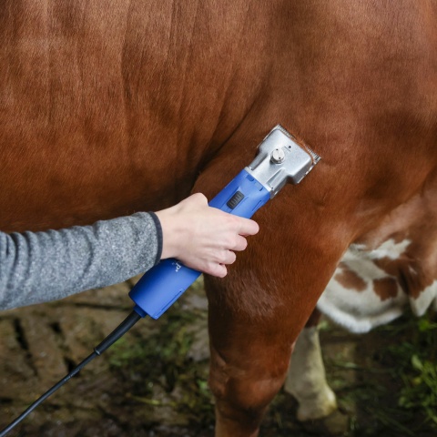 Mașină de tuns bovine și cabaline, Aesculap Econom II, 230 V