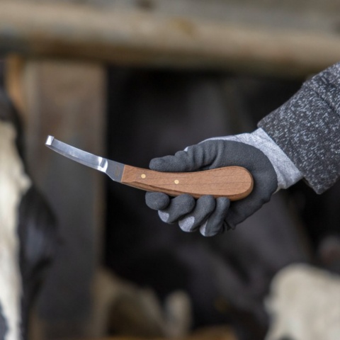 Cuțit pentru copite, cu un singur tăiș, mâna dreaptă, Aesculap