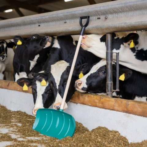 Lopată pentru manipularea furajelor, fără coadă, 65,5 × 27 cm