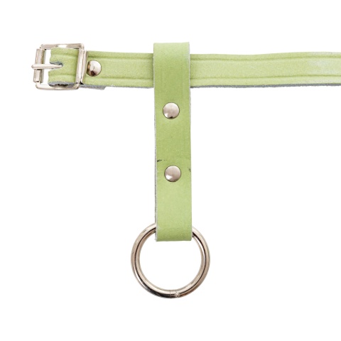 Căpăstru din piele pentru oi și berbeci, reglabil