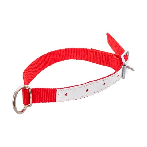 Colier pentru oi, roșu, 60 cm<br/>26 Lei<br><small>1155</small>
