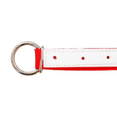 Colier pentru oi, roșu, 60 cm