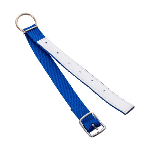 Colier pentru oi, albastru, 60 cm