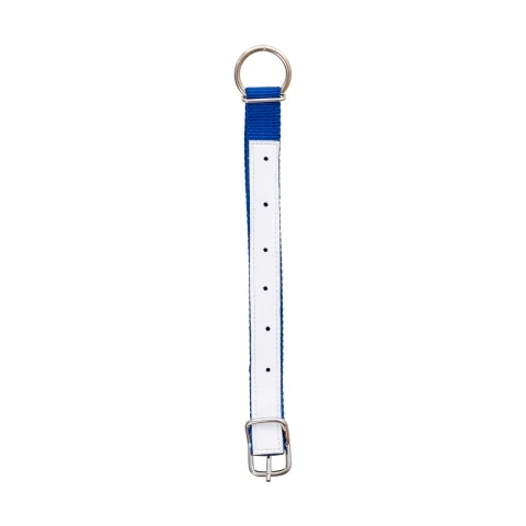 Colier pentru oi, albastru, 60 cm :: Albastru