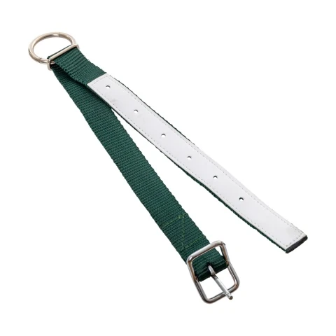 Colier pentru oi, verde, 60 cm :: Verde