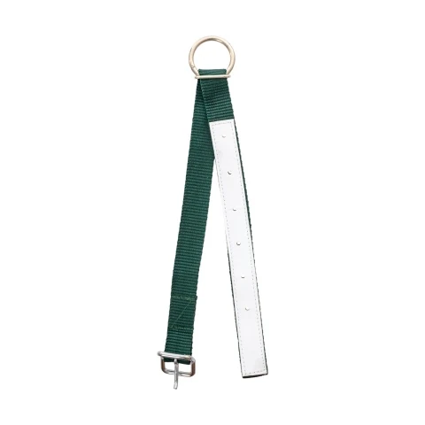Colier pentru oi, verde, 60 cm :: Verde