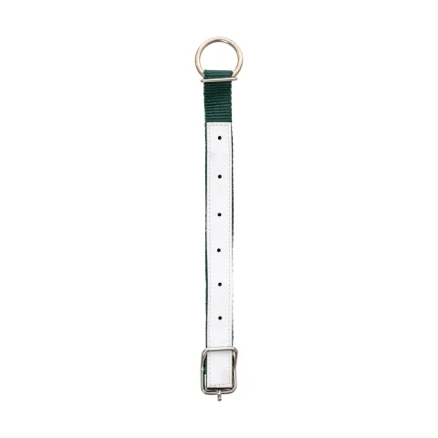 Colier pentru oi, verde, 60 cm :: Verde